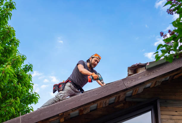 Best Roof Leak Repair  in Barrackville, WV