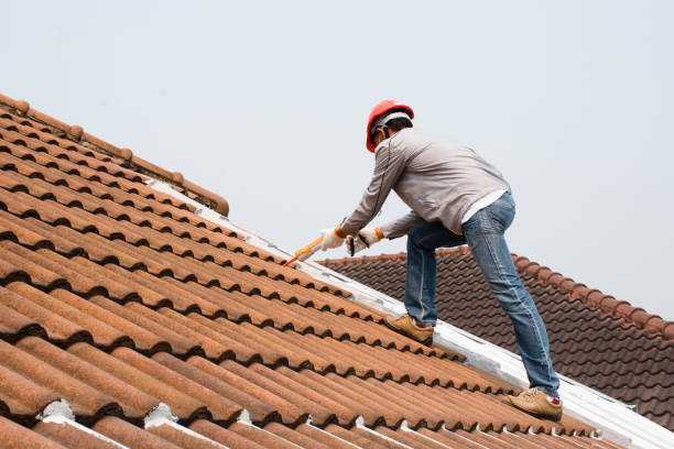 Best Roofing for New Construction  in Barrackville, WV