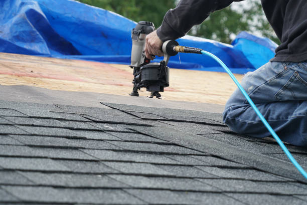 Best Roof Moss and Algae Removal  in Barrackville, WV
